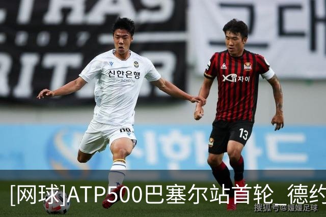 [网球]ATP500巴塞尔站首轮 德约科维奇逆转取胜